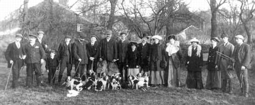 St Bees Beagle pack