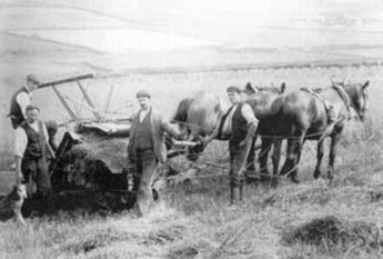 St Bees - Harvesting