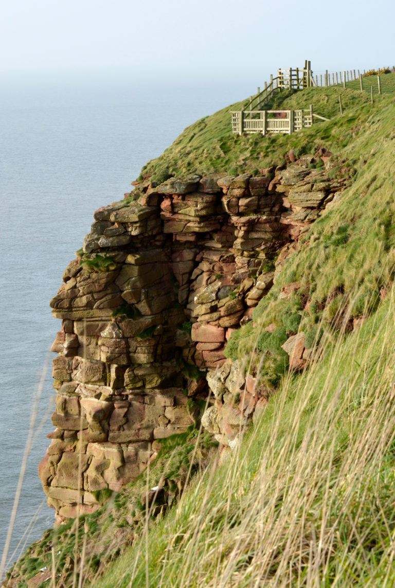St Bees RSPB Cliff nesting site